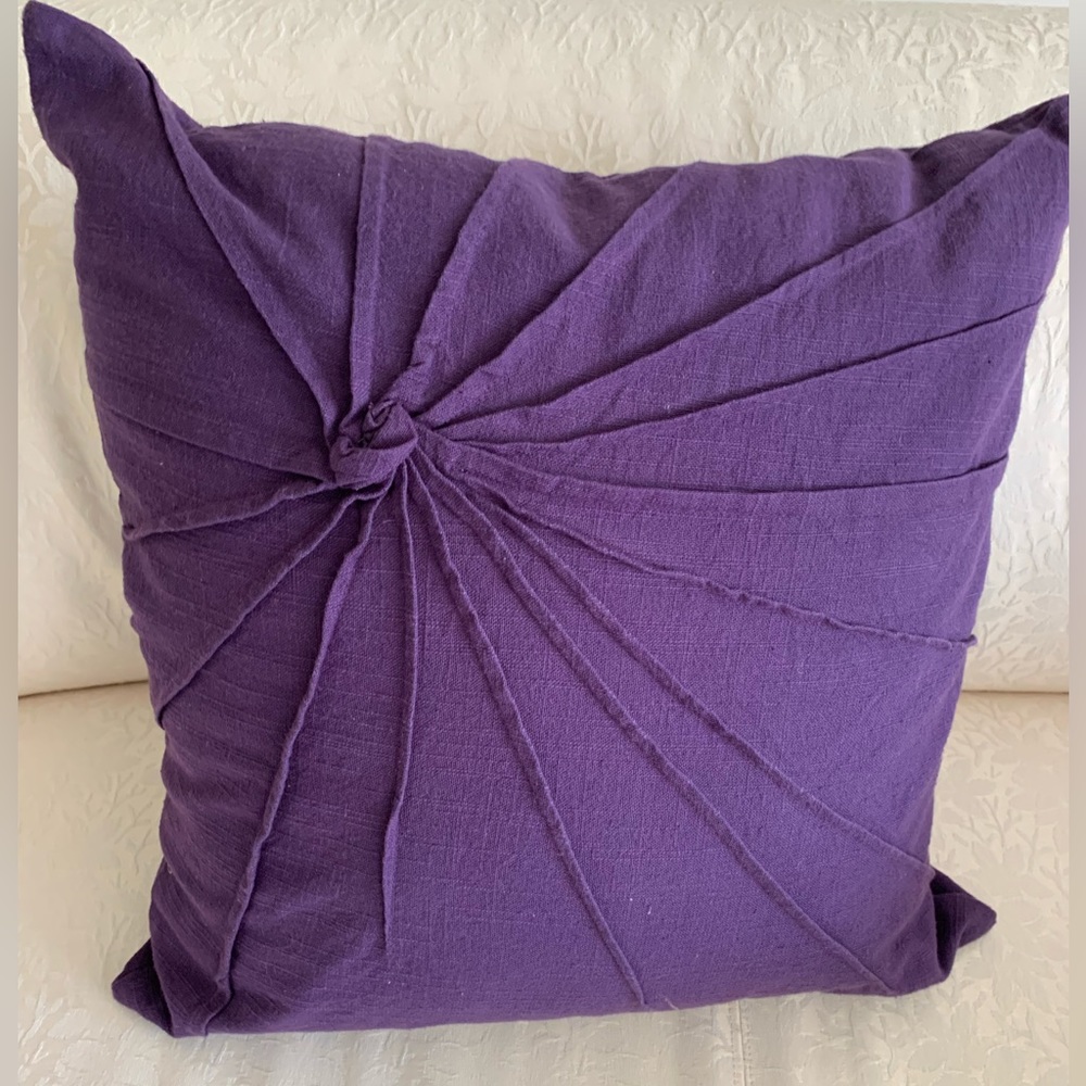 2 Decorative Rich Purple Pillows